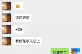 维扬要账公司更多成功案例详情